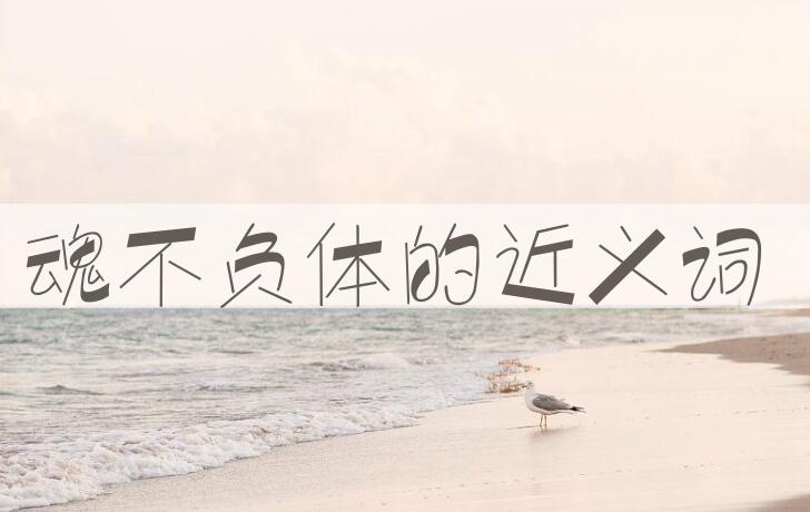 用魂不负体造句