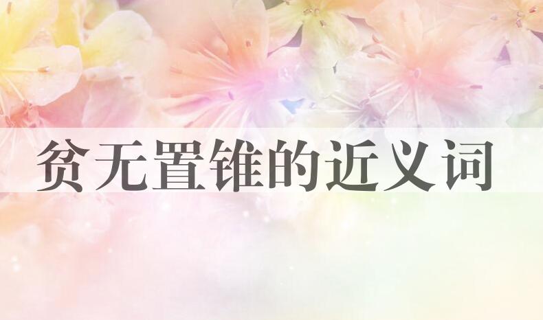 用贫无置锥造句