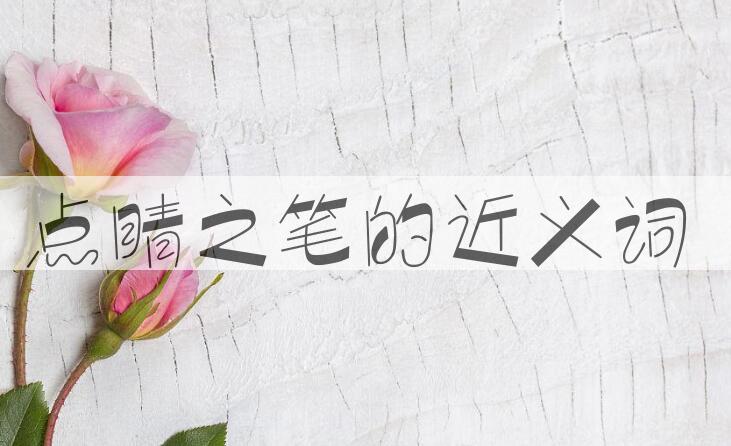 用点睛之笔造句