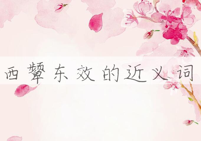 用西颦东效造句