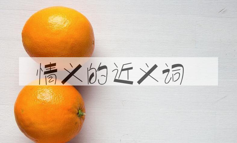 用情义造句