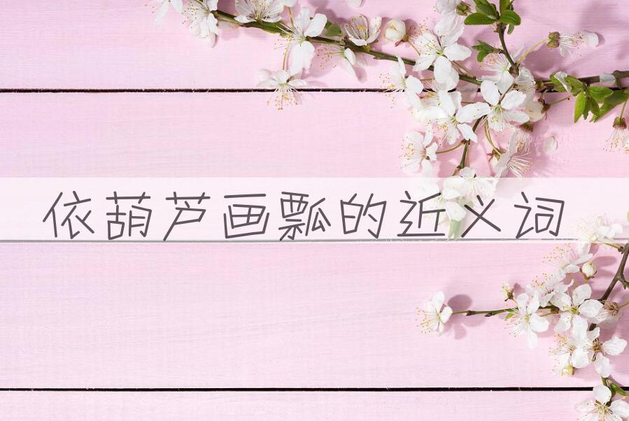 用依葫芦画瓢造句