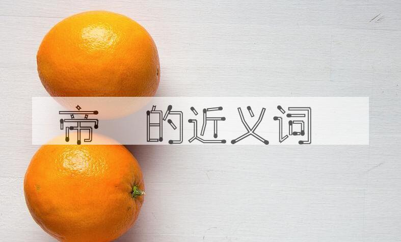 用帝闉造句