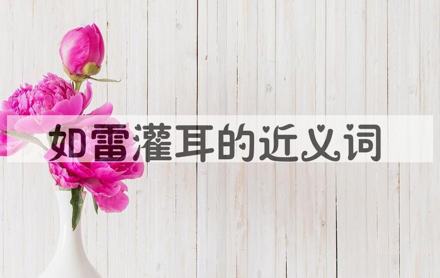 用如雷灌耳造句