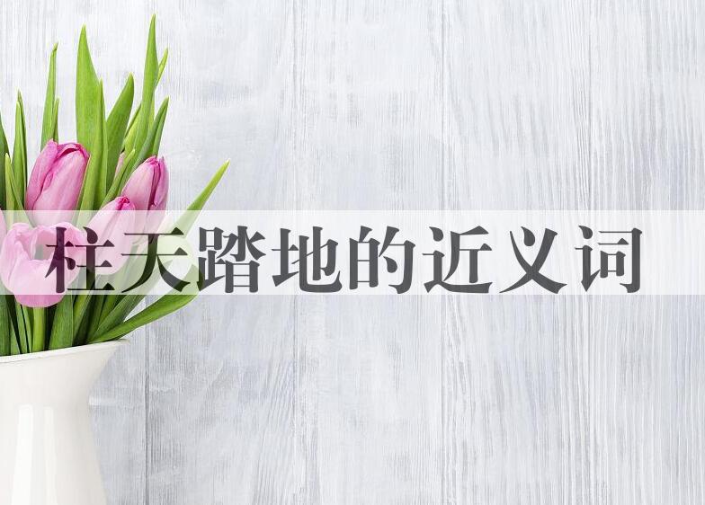 用柱天踏地造句