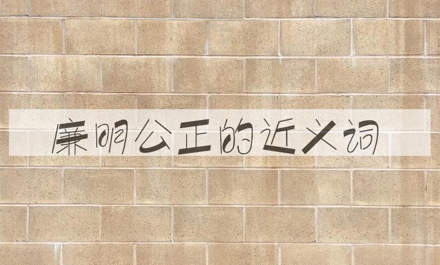 用廉明公正造句