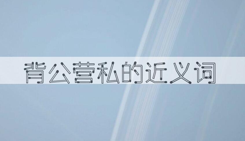 用背公营私造句