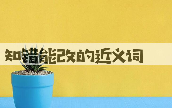 用知错能改造句