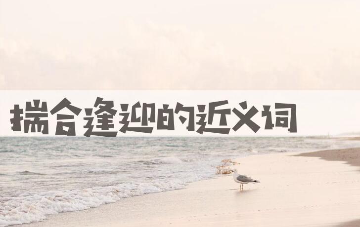 用揣合逢迎造句