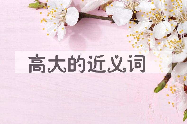 用高大造句