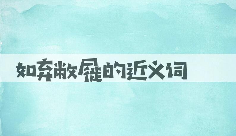 用如弃敝屣造句