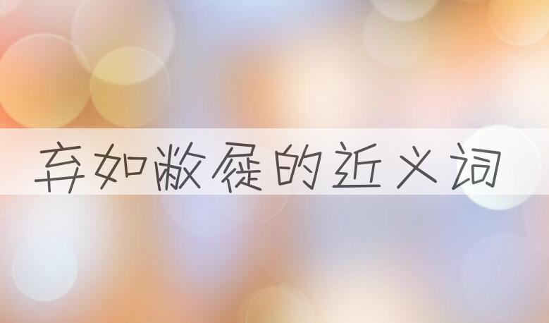 用弃如敝屣造句