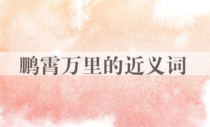 用鹏霄万里造句