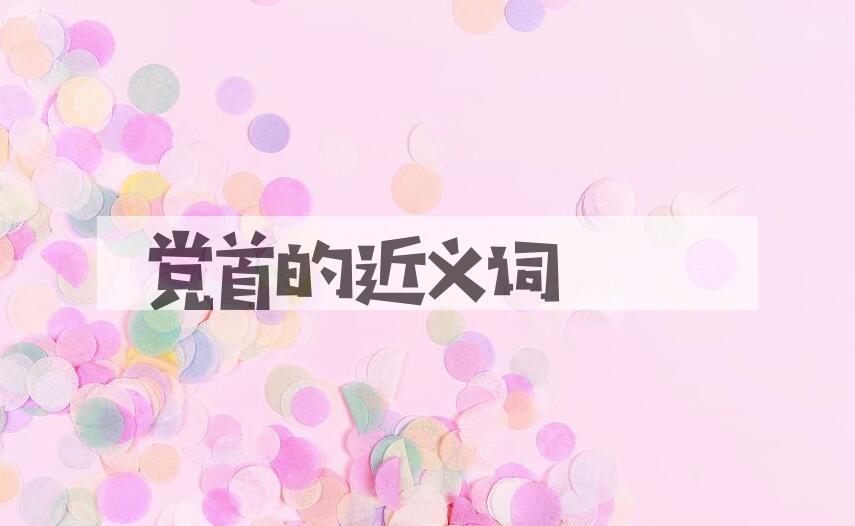 用党首造句