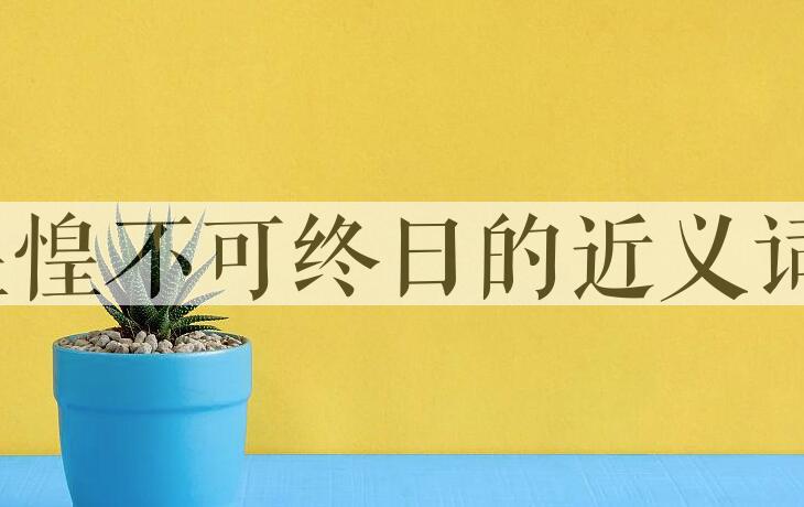 用惶惶不可终日造句