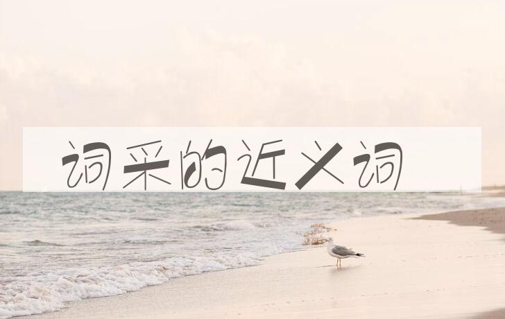 用词采造句