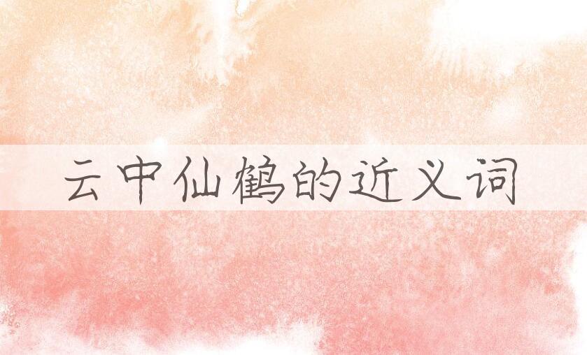 用云中仙鹤造句