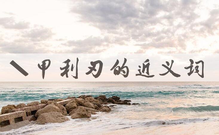 用坚甲利刃造句