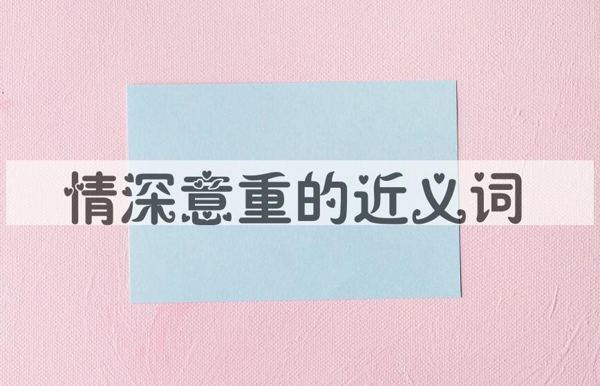 用情深意重造句