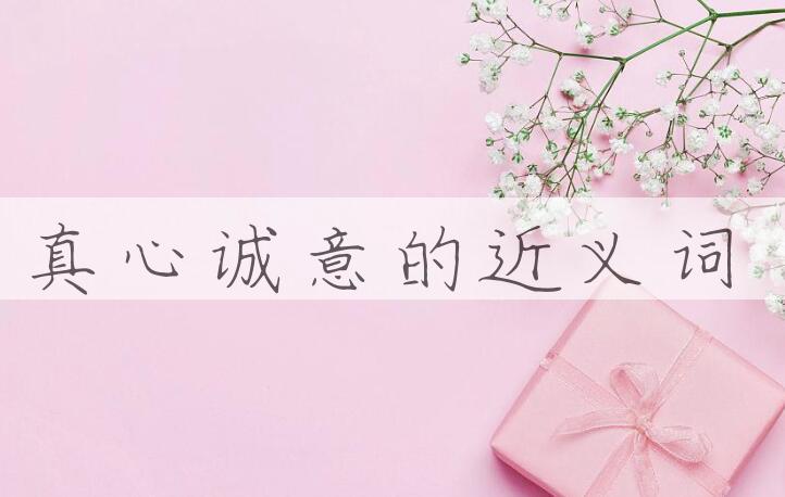 用真心诚意造句