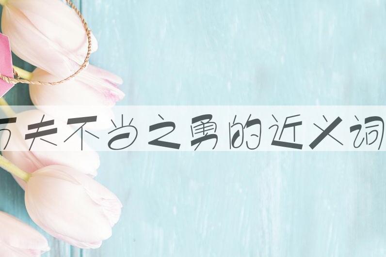 用万夫不当之勇造句