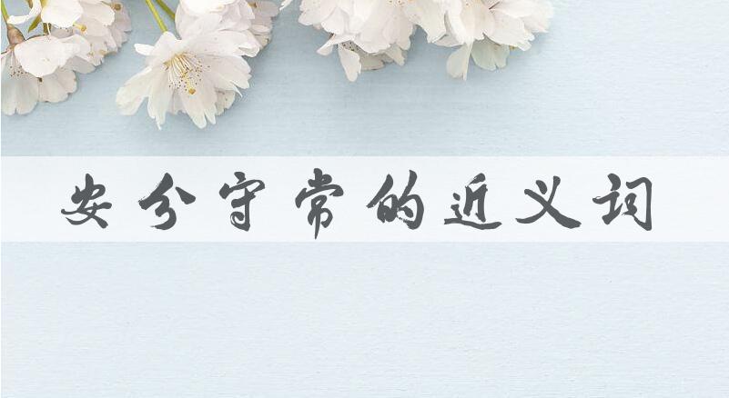 用安分守常造句