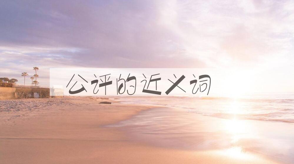 用公评造句