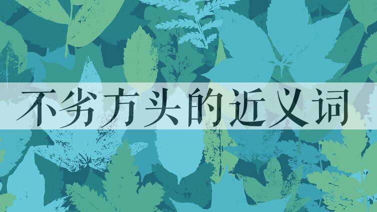 用不劣方头造句