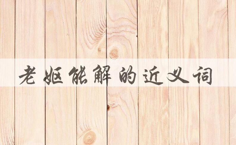 用老妪能解造句