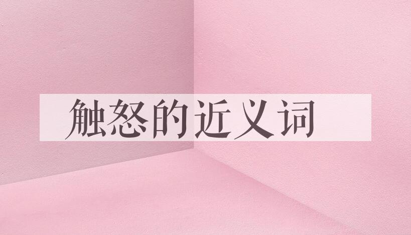 用触怒造句