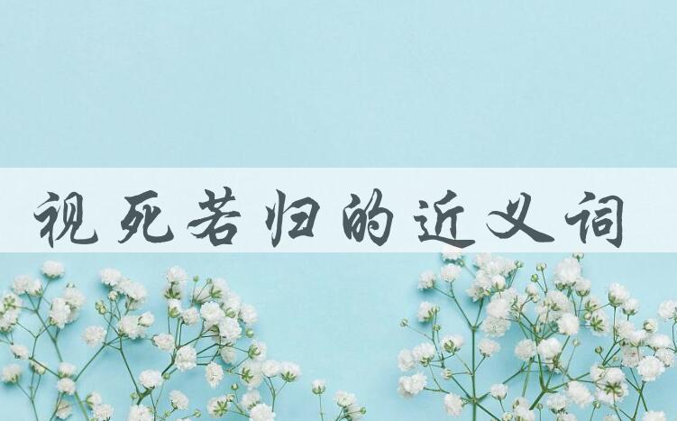 用视死若归造句