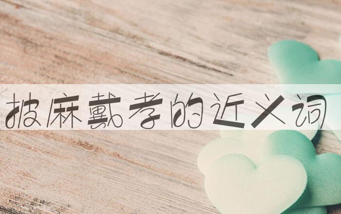 用披麻戴孝造句