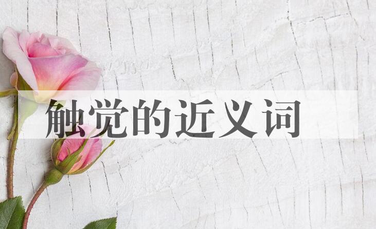 用触觉造句