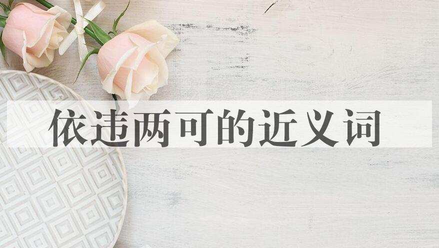 用依违两可造句