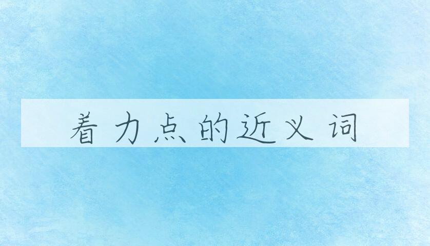用着力点造句