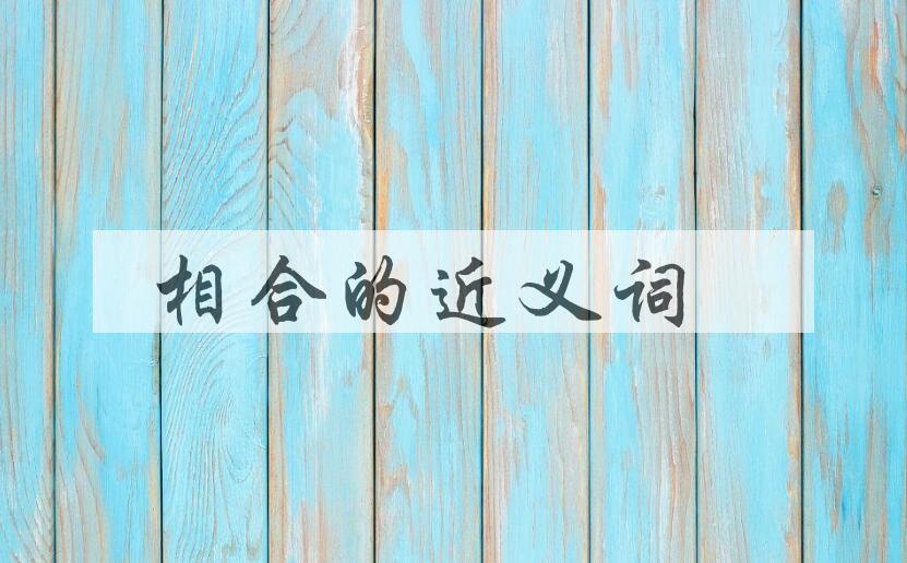 用相合造句