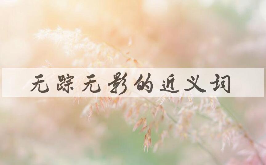 用无踪无影造句