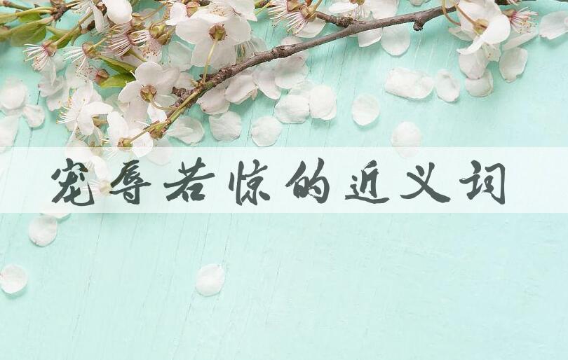 用宠辱若惊造句