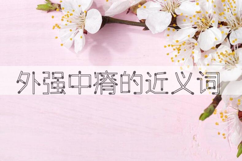 用外强中瘠造句