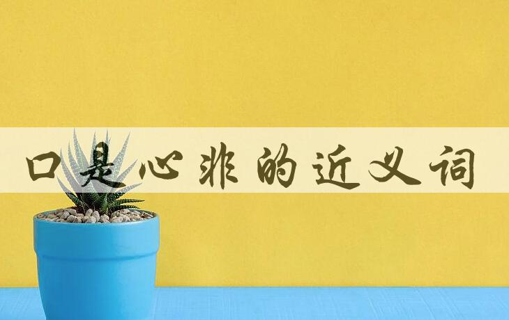用口是心非造句