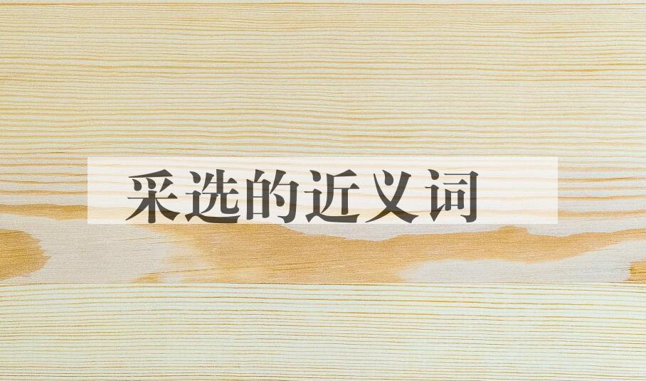 用采选造句