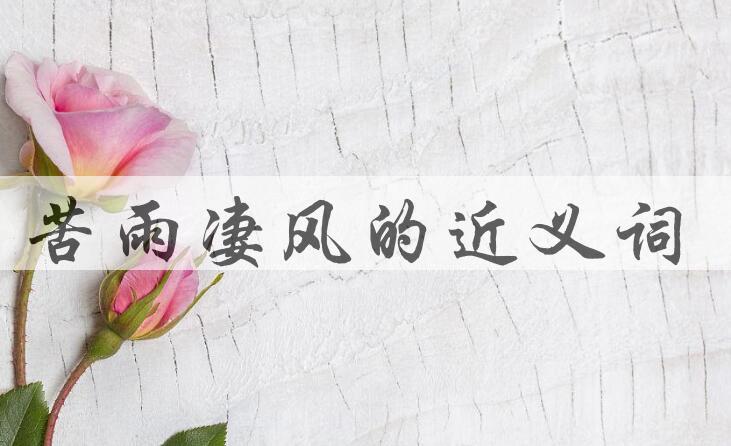 用苦雨凄风造句