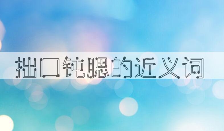 用拙口钝腮造句