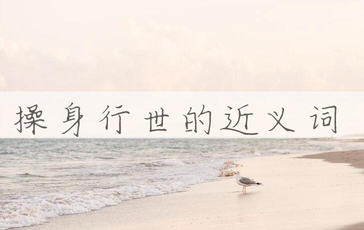 用操身行世造句