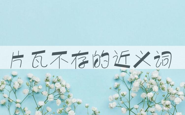 用片瓦不存造句