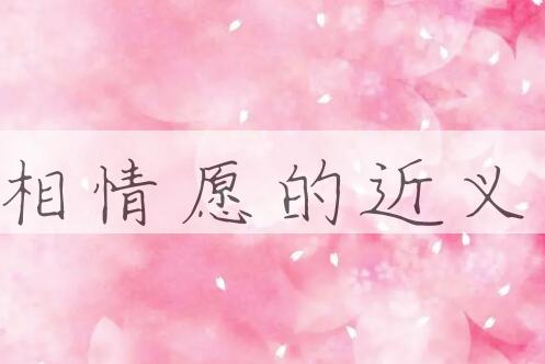 用两相情愿造句