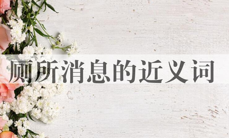用厕所消息造句