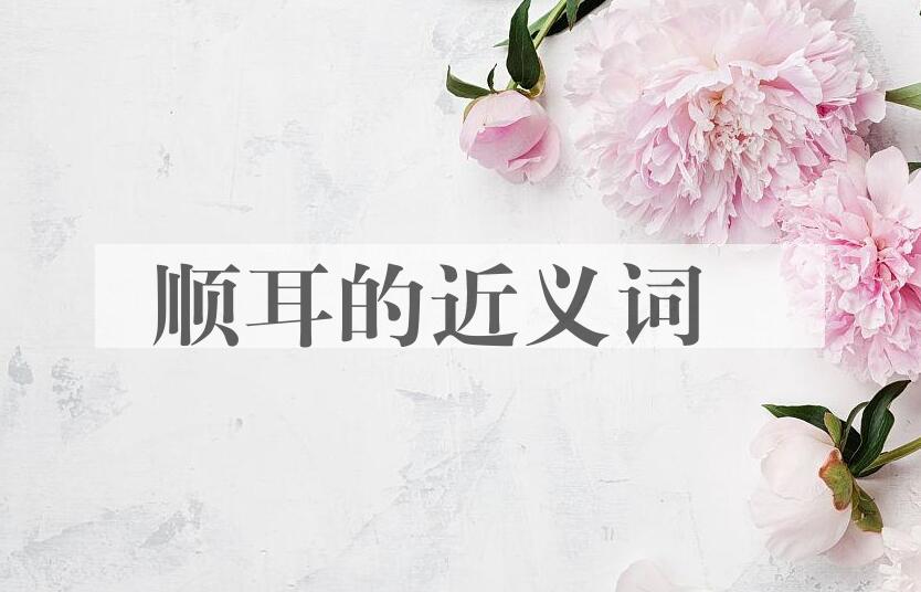 用顺耳造句