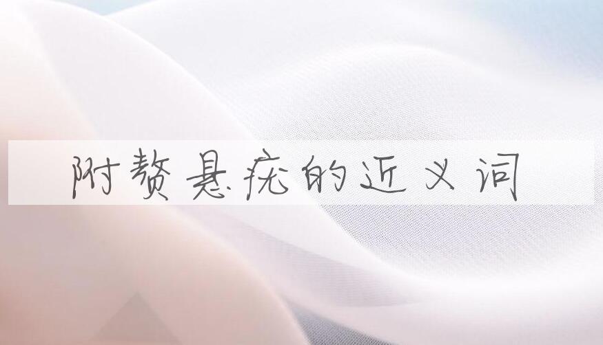 用附赘悬疣造句