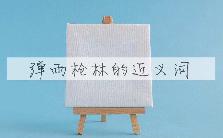 用弹雨枪林造句
